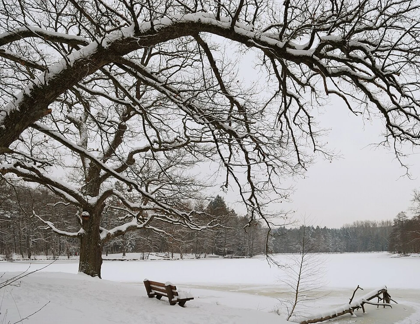 An image depicting the trail Hoelderlinweg Lisberg and its surrounding area.