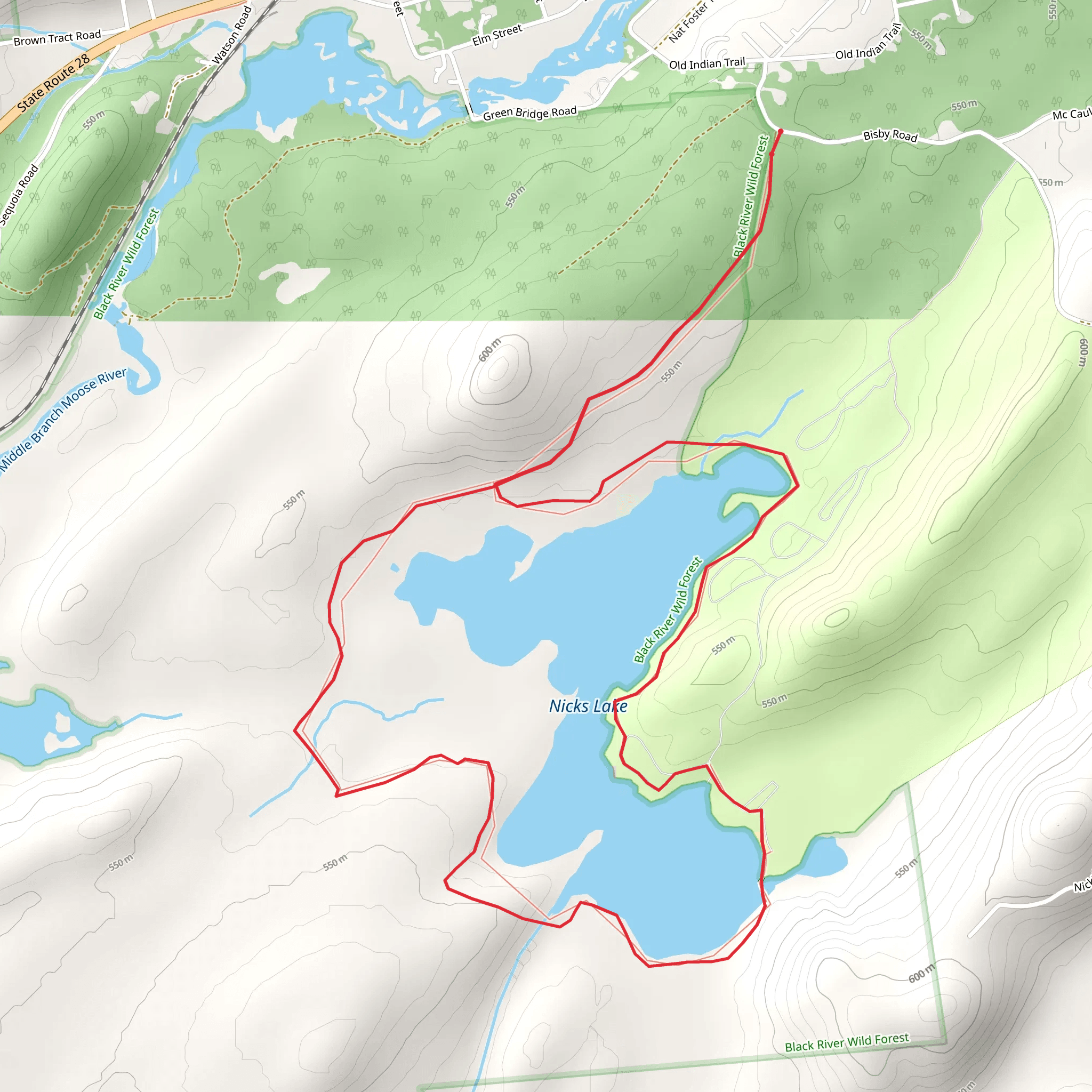 Nicks Lake from Bisby Road mobile static map