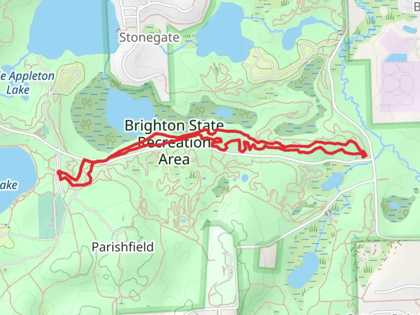 An image depicting the trail Murray Lake Loop Trail and its surrounding area.