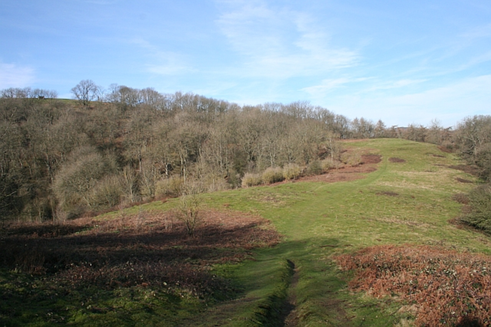 An image depicting the trail Parkend to May Hill Walk and its surrounding area.