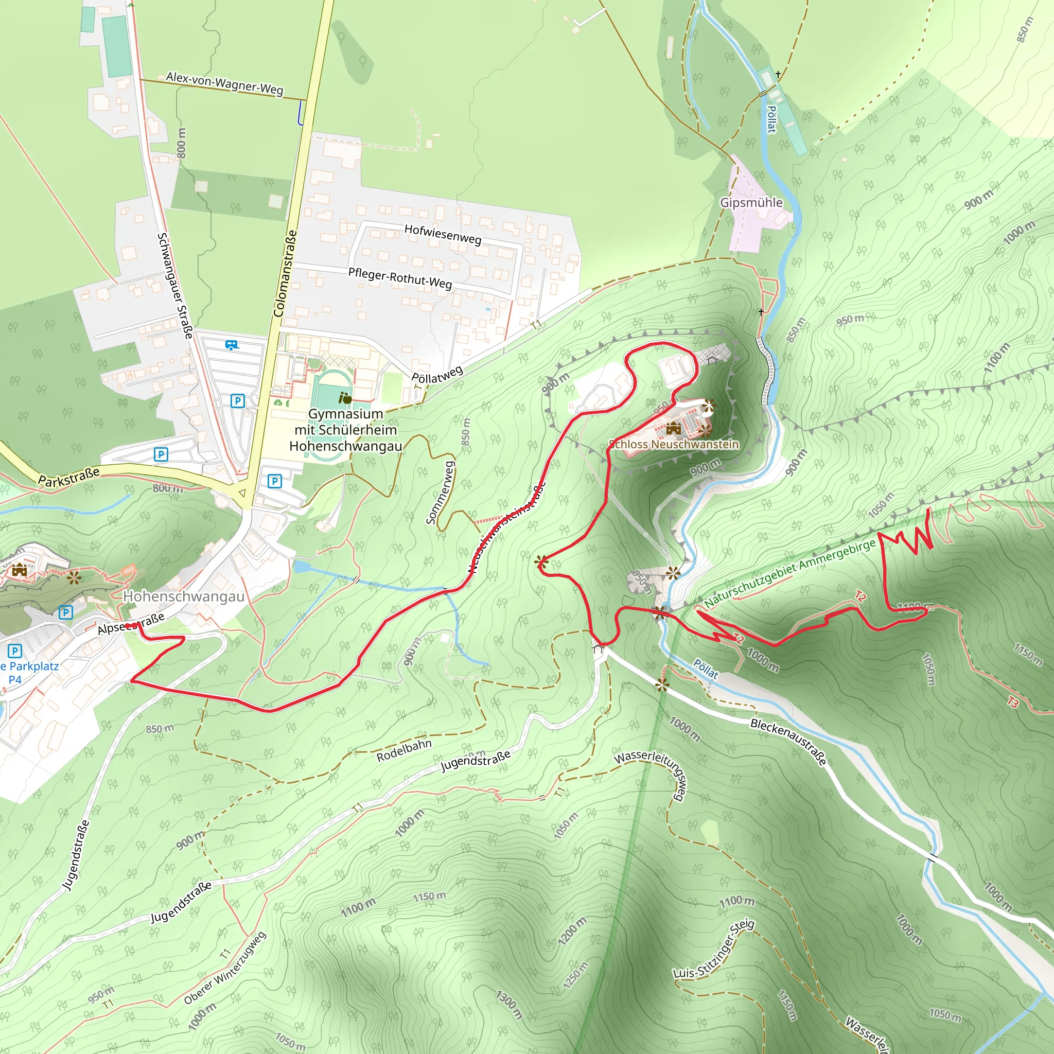 Neuschwanstein Viewpoint Walk mobile static map