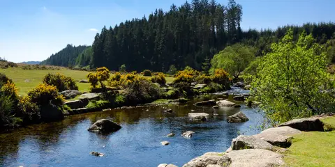 An image depicting the trail Dartmoor Ramble and its surrounding area.