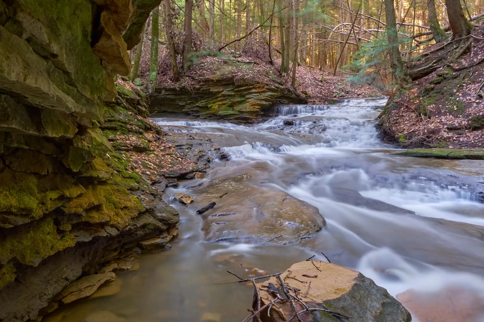 An image depicting the trail Polypody trail - Orange Blaze - Indian Pipe trail - White Blaze - Ravine - Purple Blaze Loop and its surrounding area.