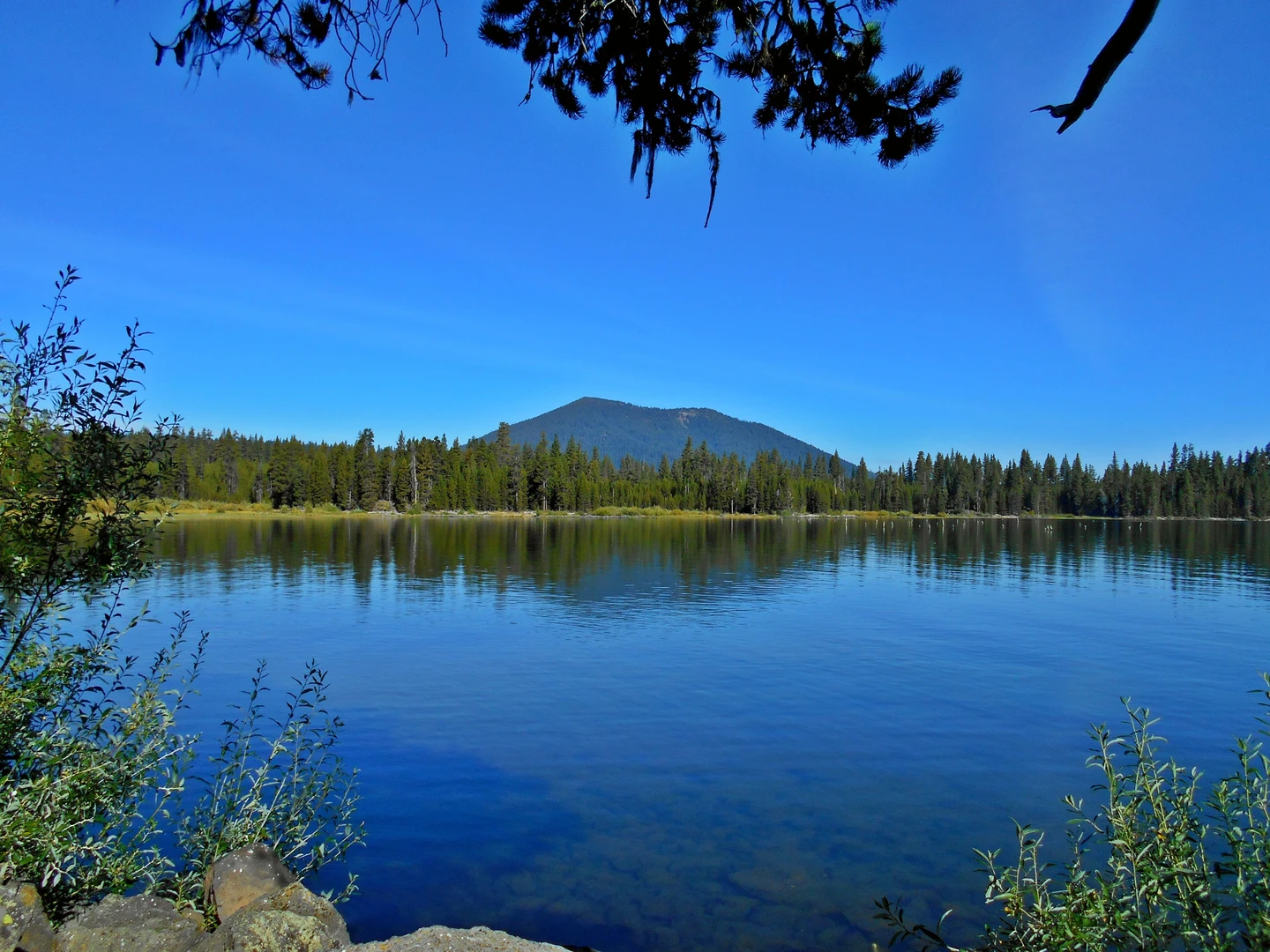 An image depicting the trail Mini Lake Area and its surrounding area.