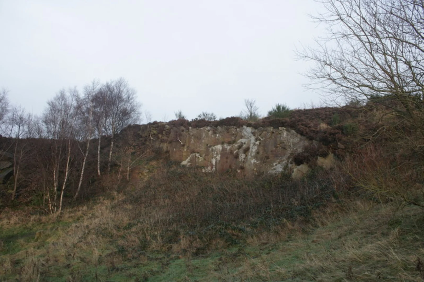 An image depicting the trail York Gate Plantation and Beacon Hill Loop and its surrounding area.