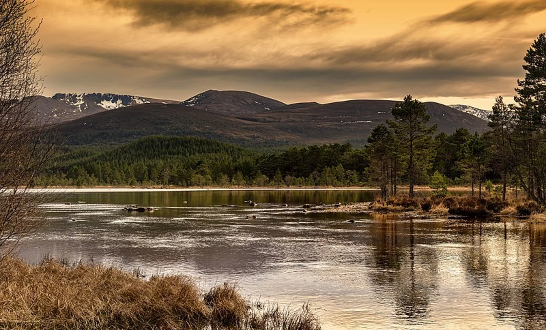 An image depicting the trail Creag a' Chalamain and The Cat Notch from Loch Morlich and its surrounding area.
