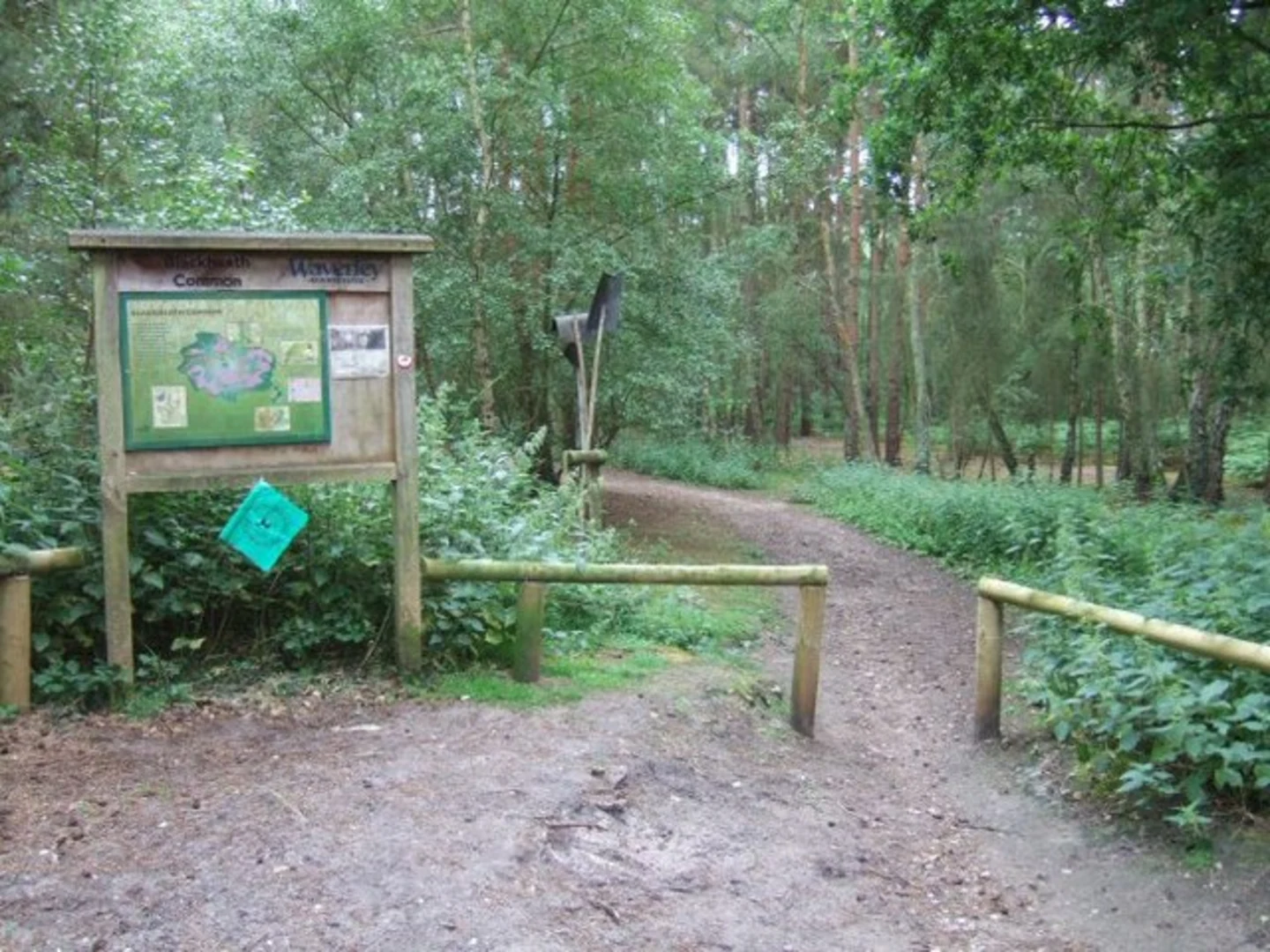 An image depicting the trail Blackheath Common Loop and its surrounding area.