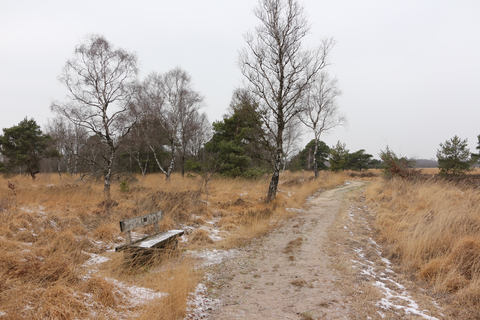 Eeuwselse Bodden, De Groote Peel and Aan't Elfde Loop