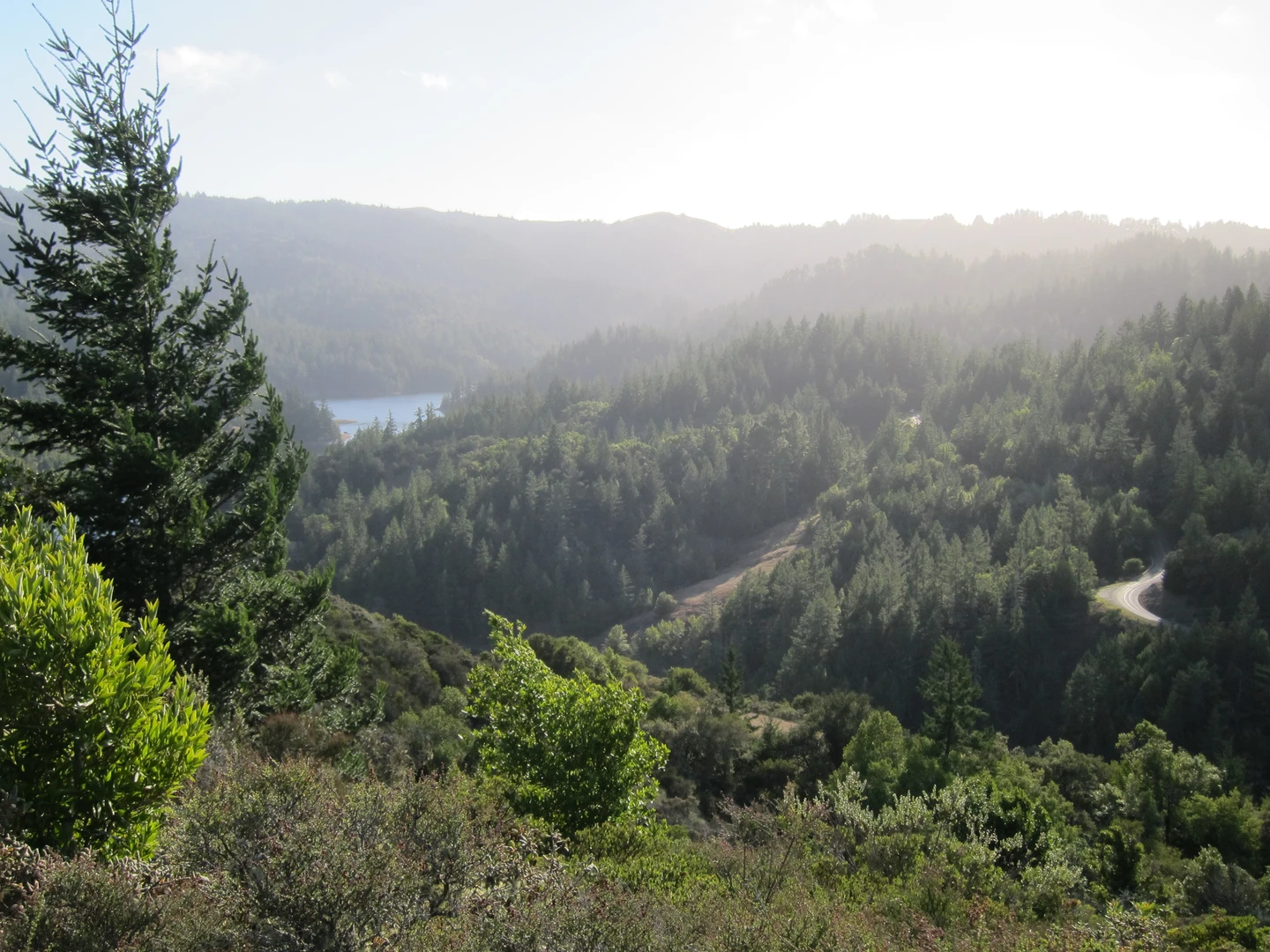 An image depicting the trail Alpine Lake via Laurel Dell Fire Road and its surrounding area.