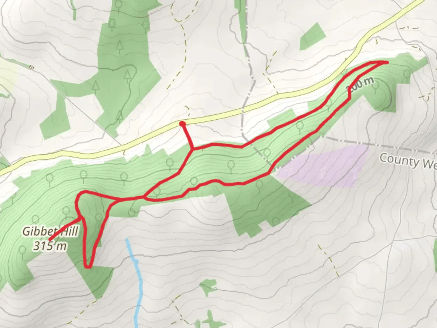 An image depicting the trail Coolmelagh - Gibbet Hill Loop and its surrounding area.