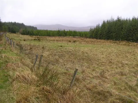 An image depicting the trail Cruach Eoghanach Walk and its surrounding area.
