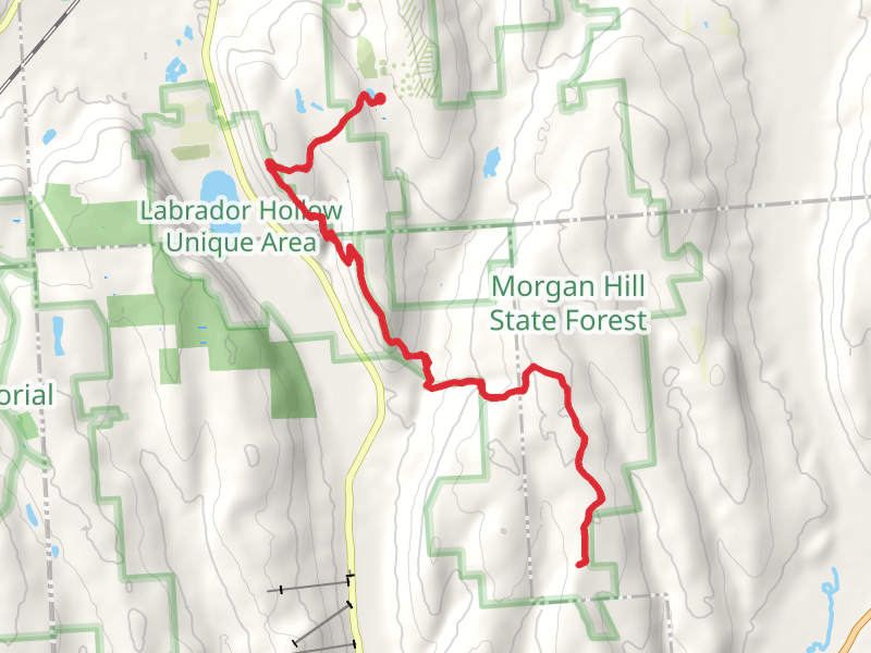 Jones Hill and Shackham Brook via Onondaga Trail