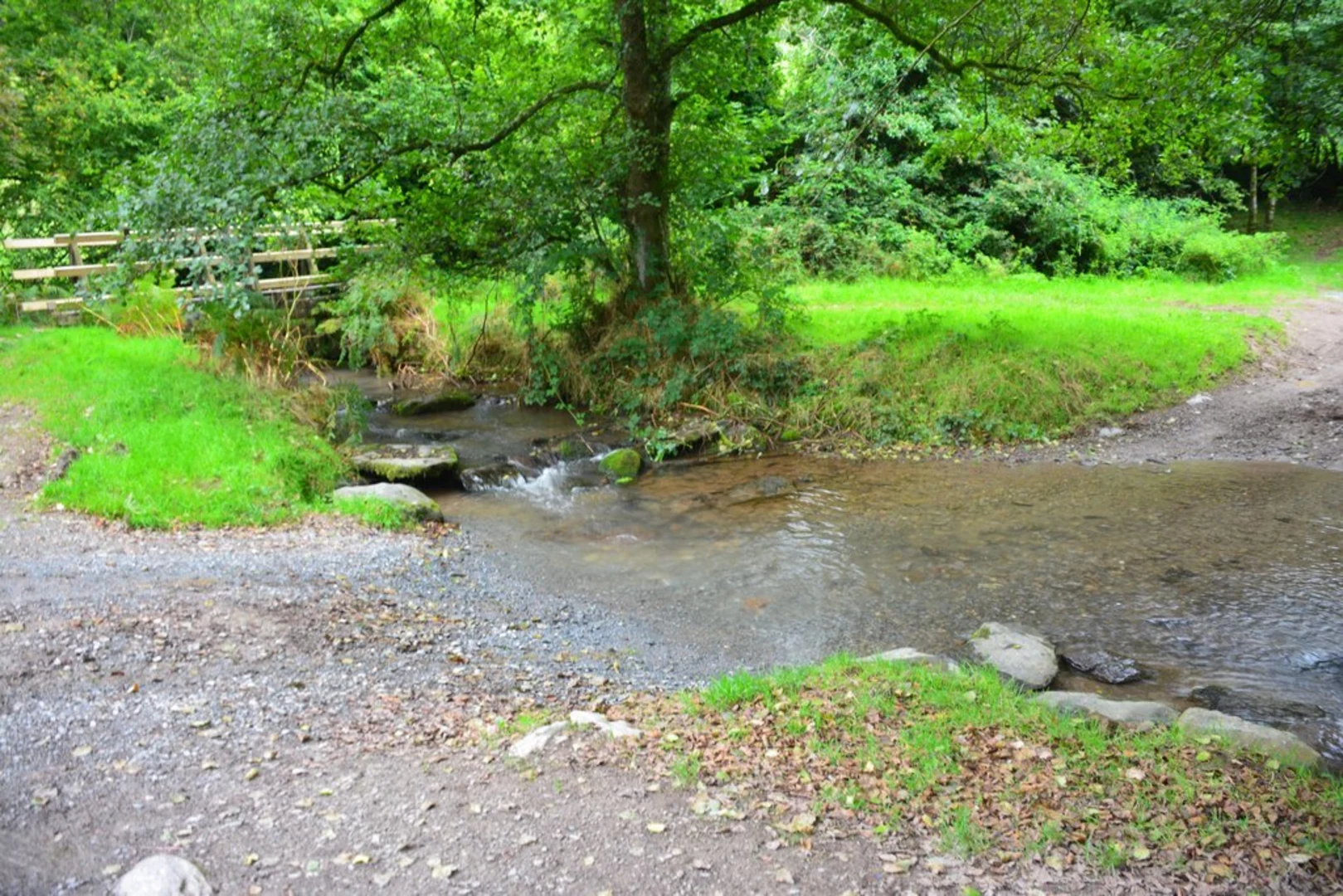 An image depicting the trail Dulverton and Tarr Steps Loop and its surrounding area.