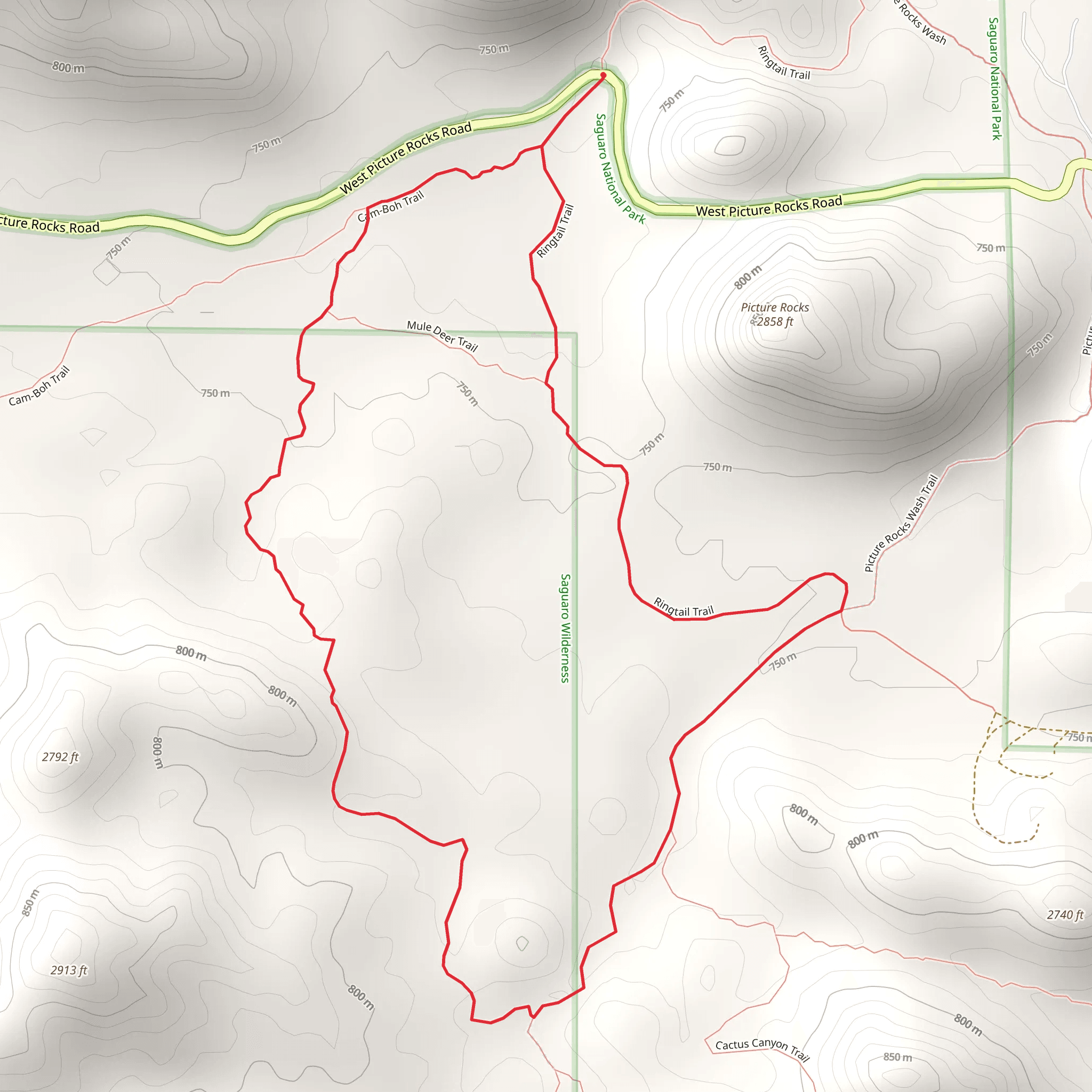 Ironwood Forest and Ringtail Loop Trail mobile static map