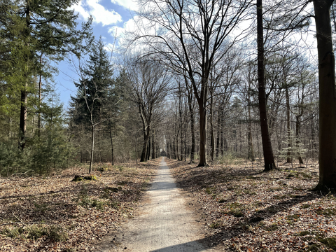 Fislerwoud, Berg en Dal and Galgenberg Loop