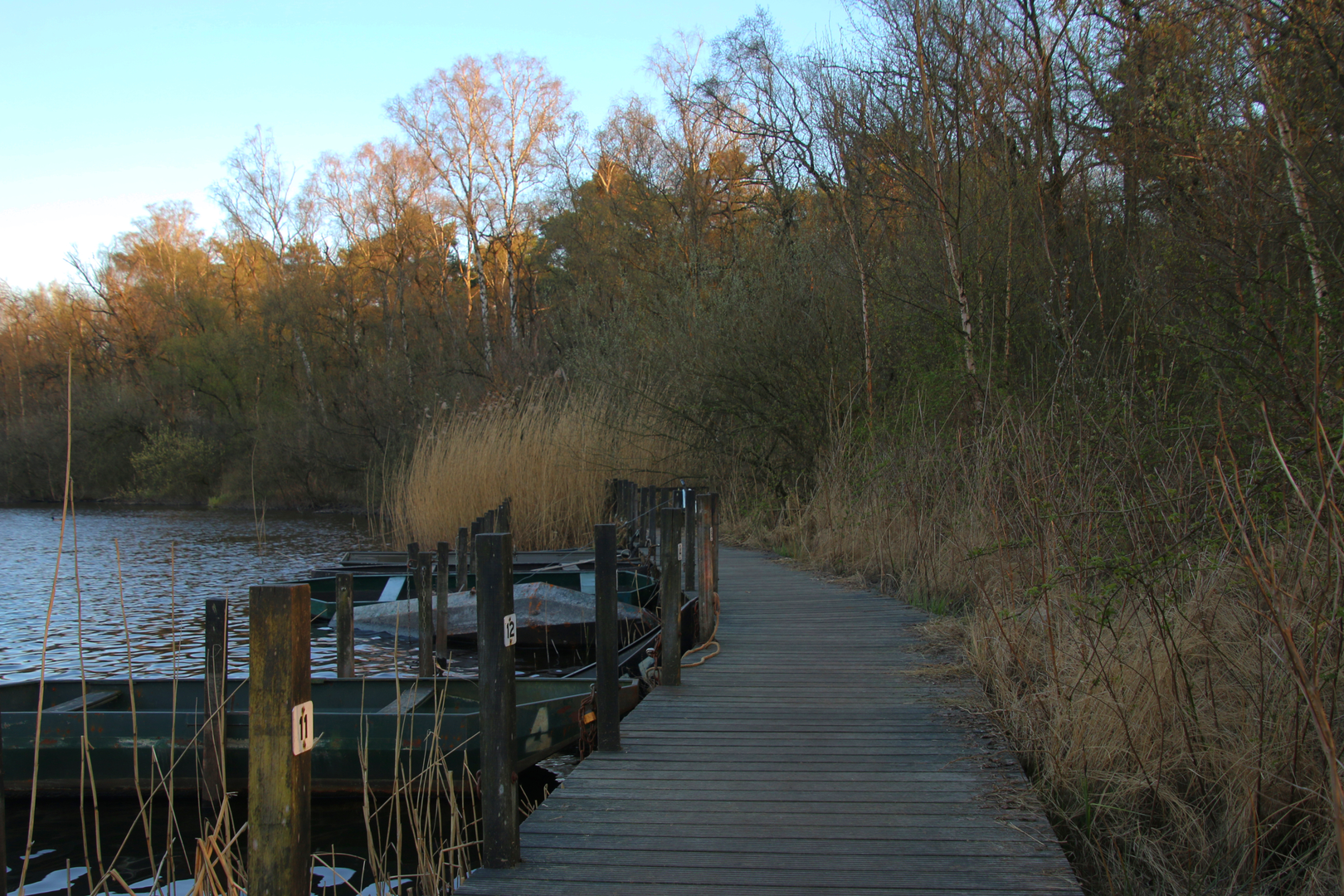 An image depicting the trail Voorste Goorven, Kolkven, Kogelvangersven and Palingven Loop and its surrounding area.