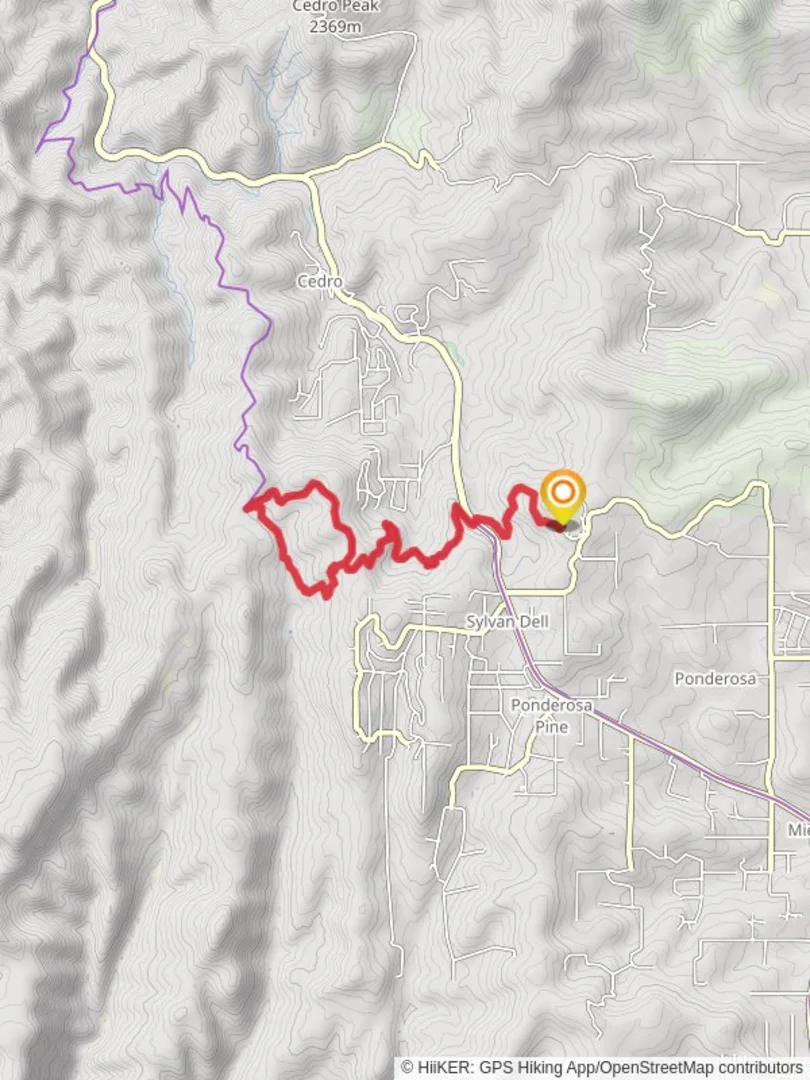 An image depicting the trail Deadman and cajun Pine Loop and its surrounding area.
