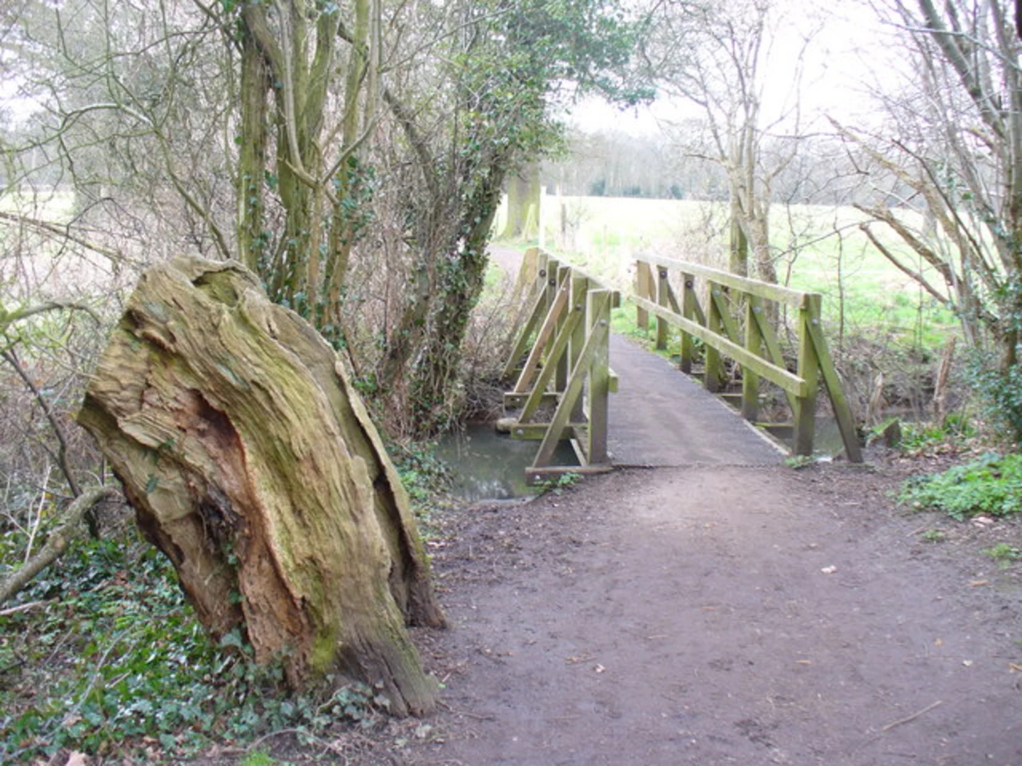 An image depicting the trail West End Common, Esher Common and Arbrook Common Loop and its surrounding area.