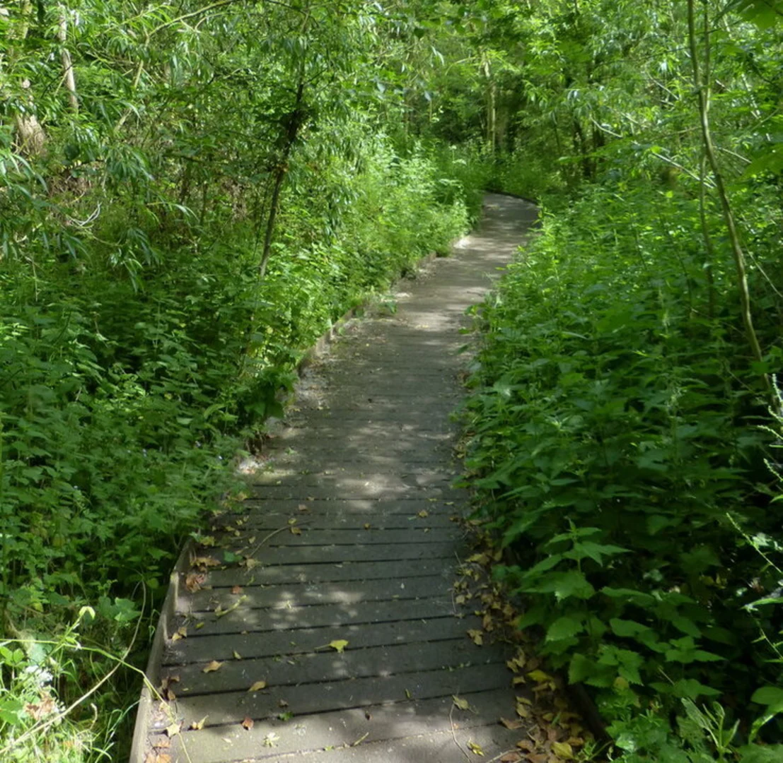 An image depicting the trail Cambridge to Grantchester Walk and its surrounding area.