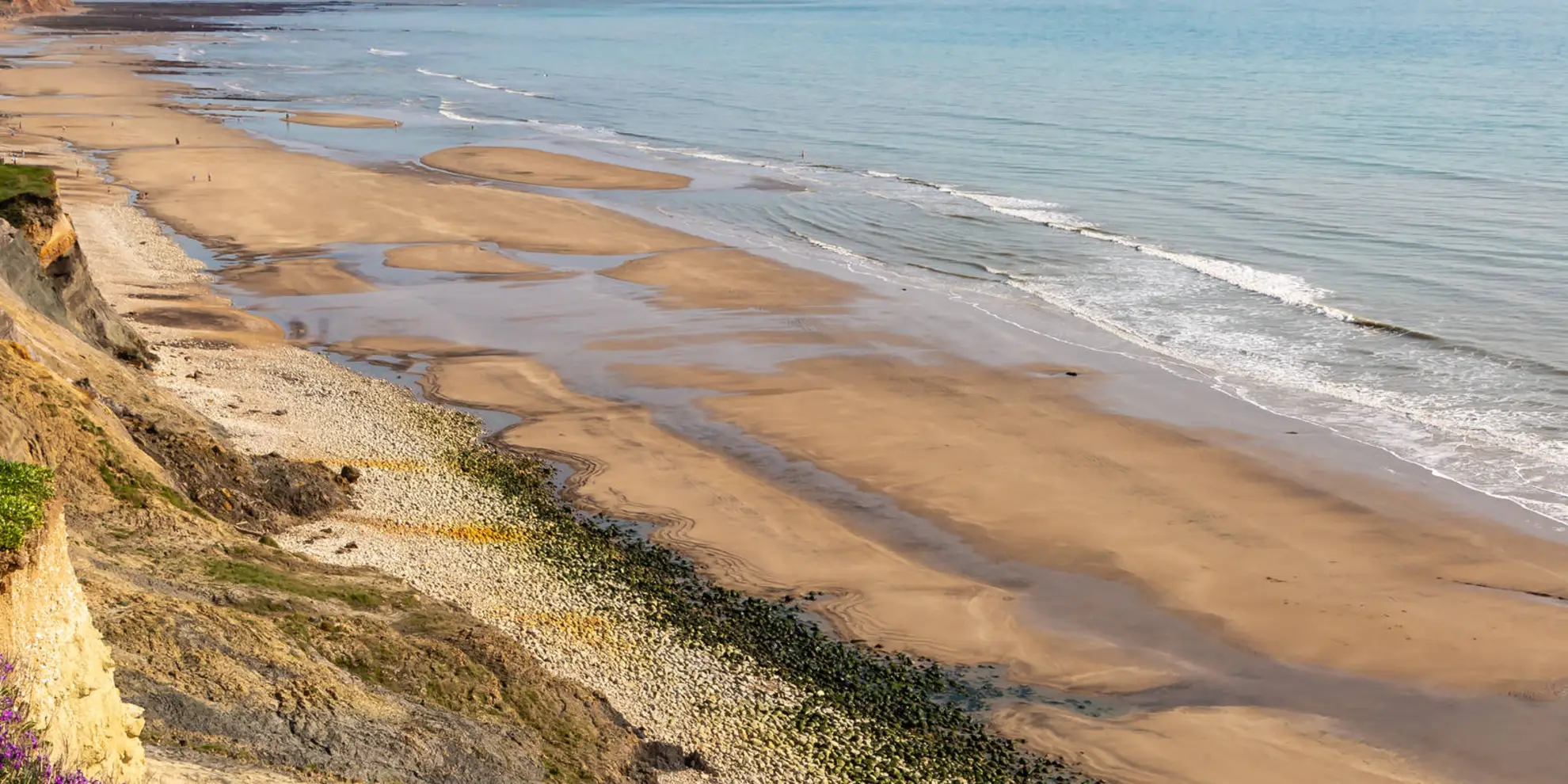 An image depicting the trail Paradise on the Isle of Wight Butterfly Walk and its surrounding area.