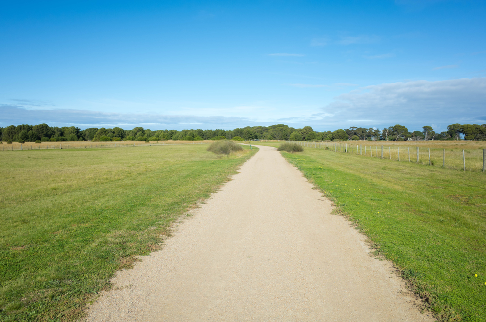 An image depicting the trail Cheetham Wetlands Walk and its surrounding area.