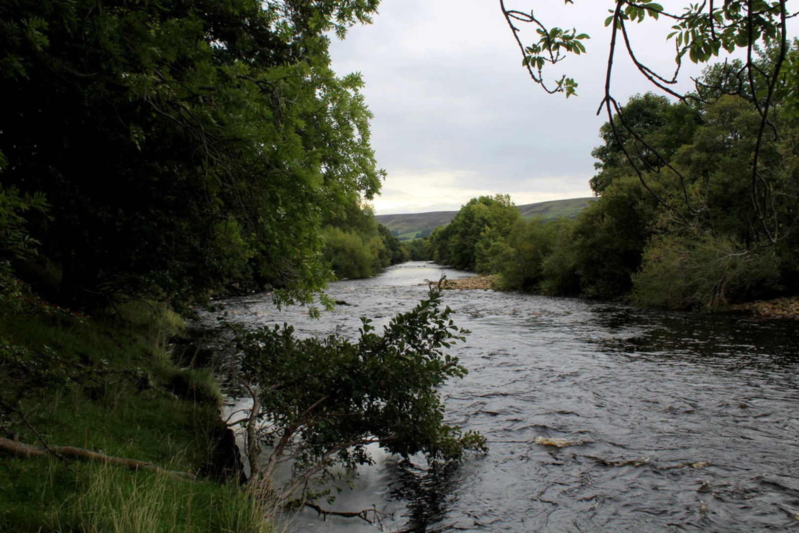 An image depicting the trail Reeth - Grinton and Low Fremington Walk and its surrounding area.