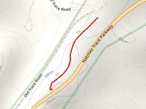 Old Trace Walk Trail