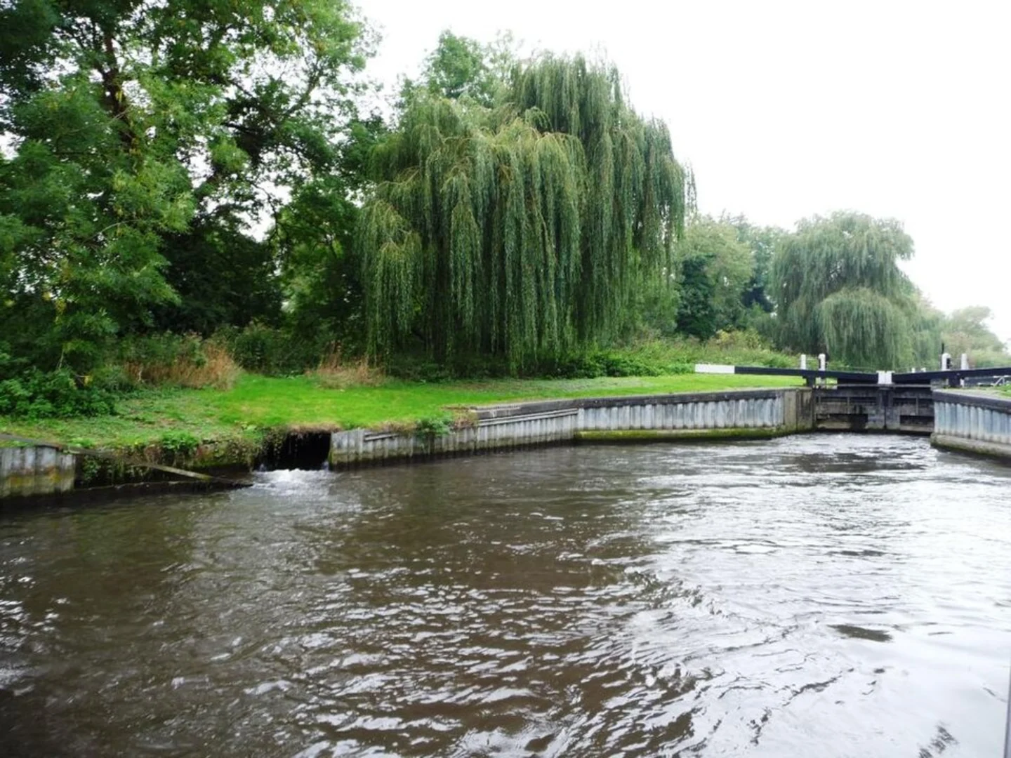 An image depicting the trail Victoria Park and Greenham and Crookham Common Nature Reserve Loop and its surrounding area.