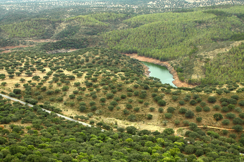 Mill of the Hoyuela SL CC 43