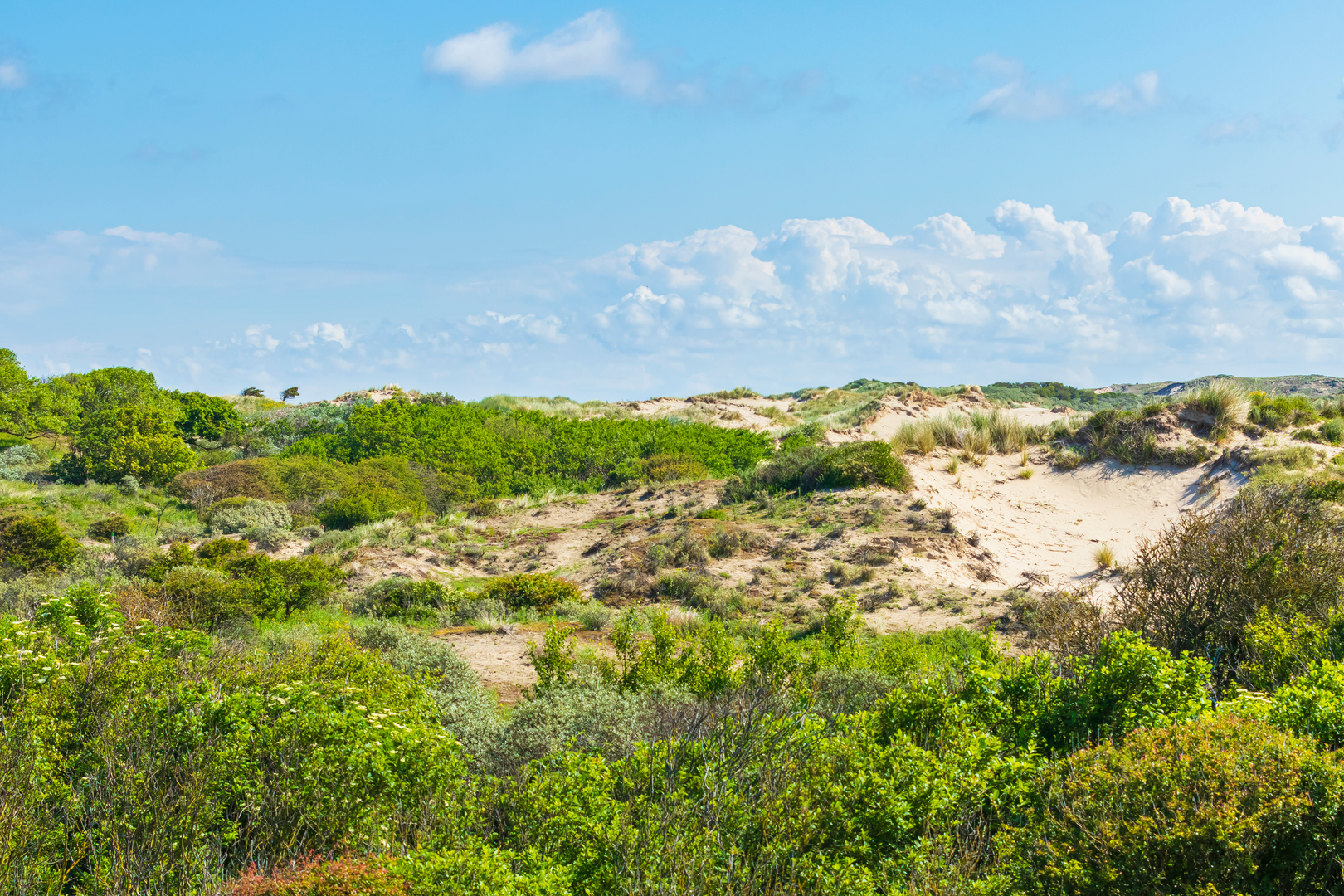An image depicting the trail Valkenburgse Meer, Meijendel, Berkheide and Zandvoort Loop and its surrounding area.