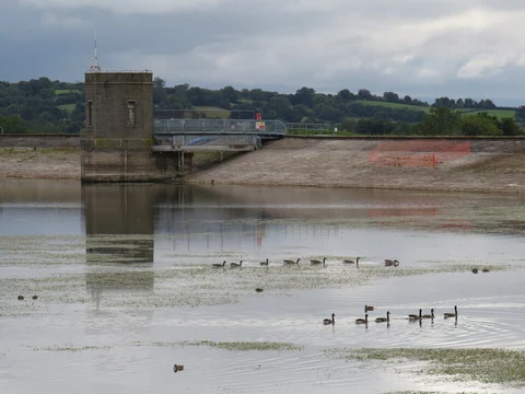 An image depicting the trail Cheddar Reservoir and its surrounding area.