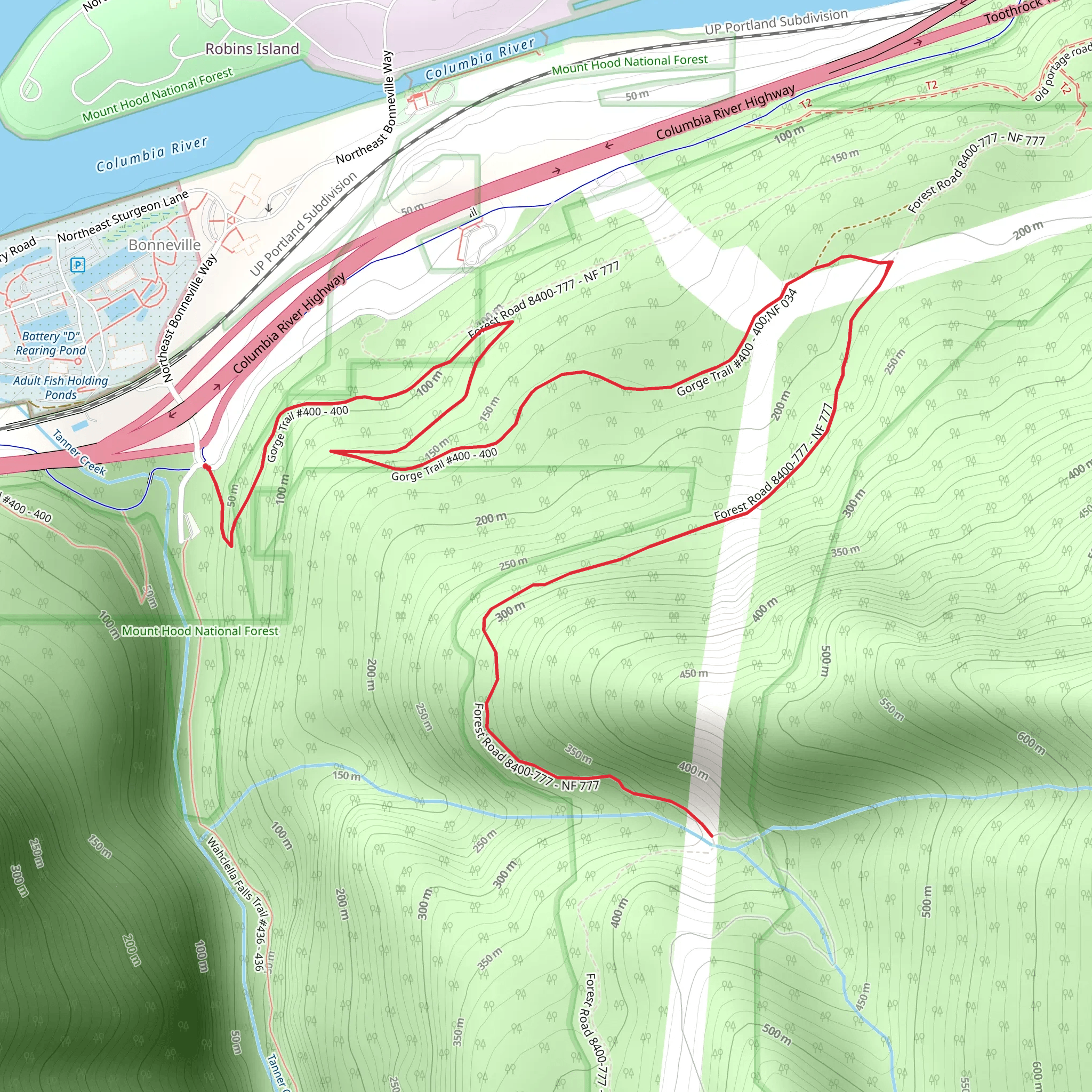 Gorge Trail and Forest Road mobile static map