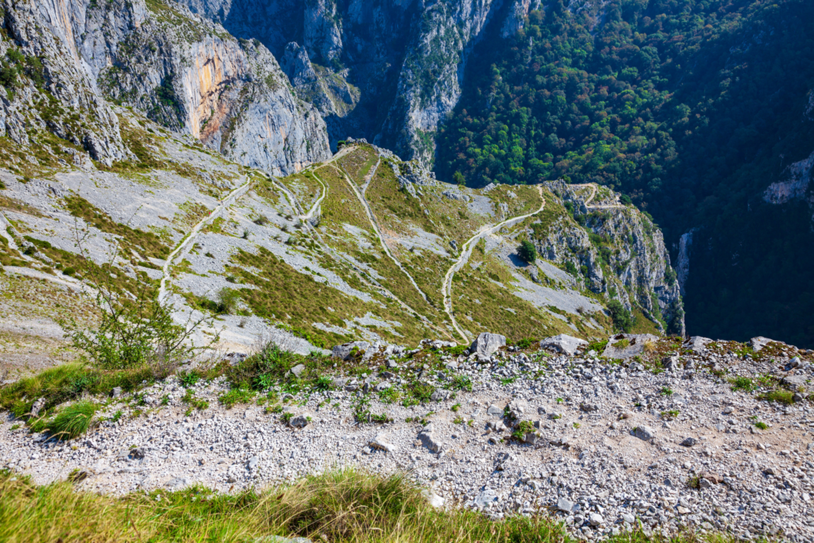 An image depicting the trail Pasá del Picayo PR PNPE 29 and its surrounding area.