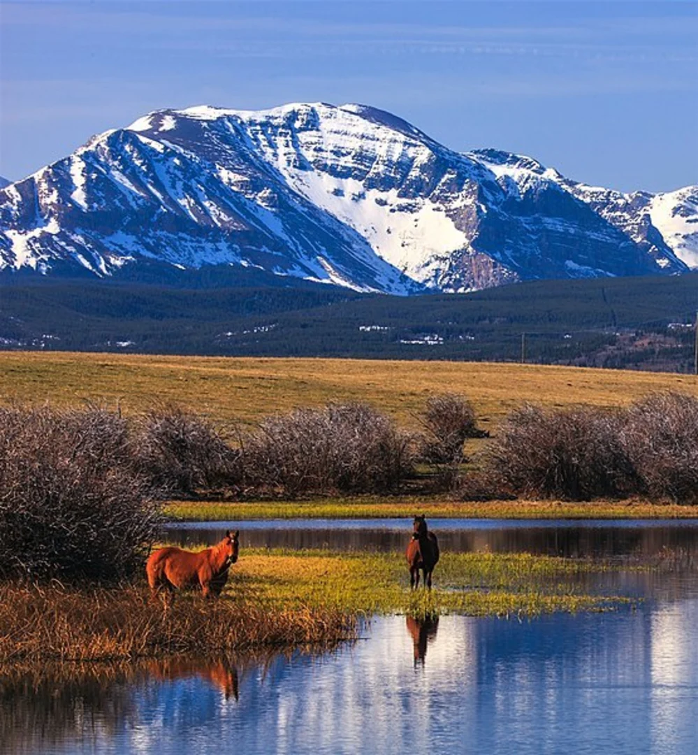 An image depicting the trail Middle Fork Birch Creek Trail from Swift Reservoir and its surrounding area.