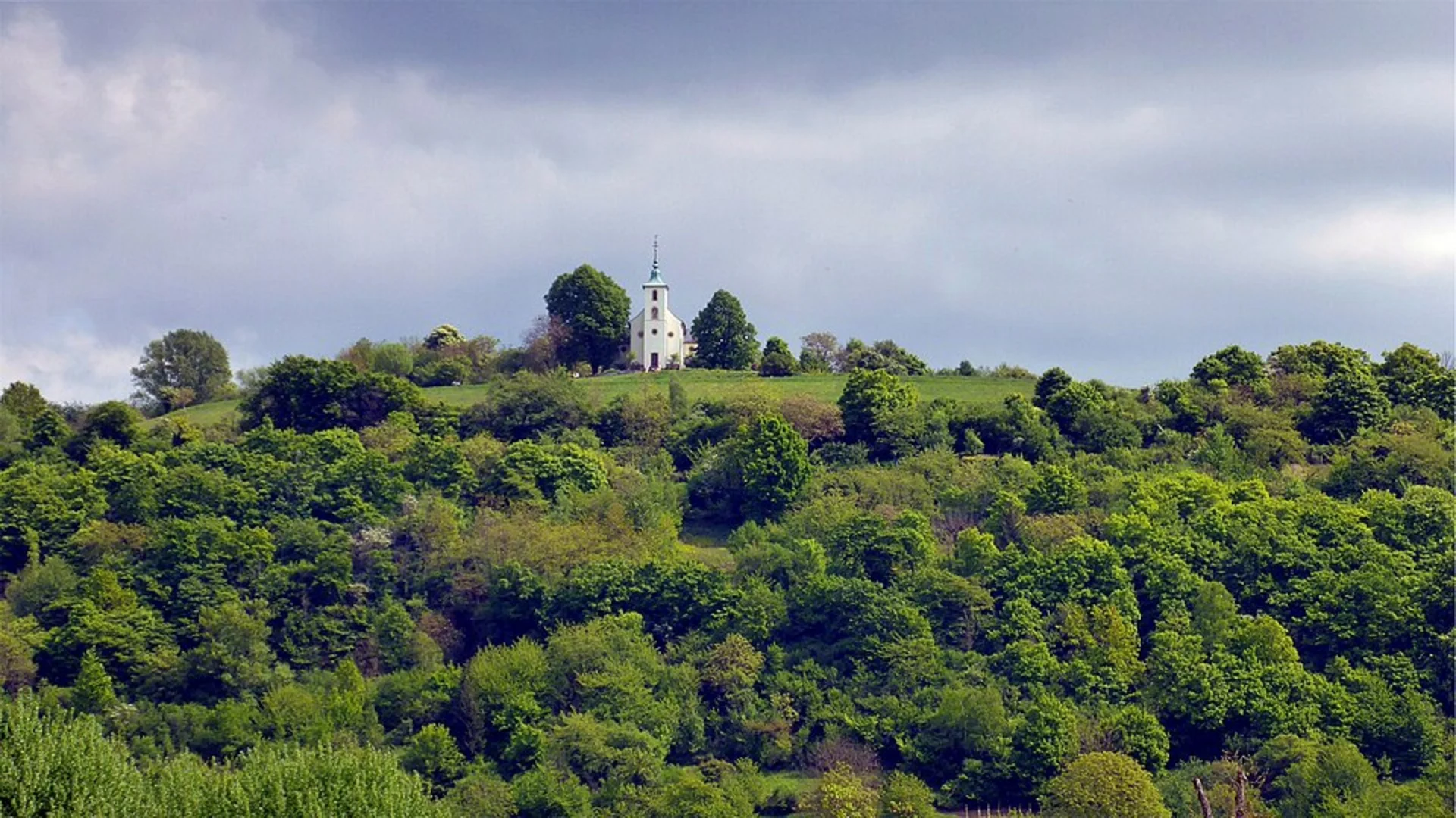 An image depicting the trail Michaelsberg Hill and Michaelsberg und Habichtsbuckel Nature Reserve Loop and its surrounding area.