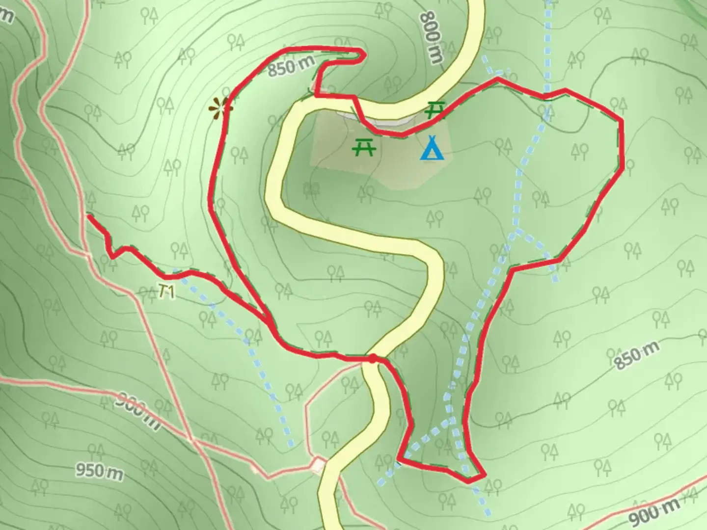 An image depicting the trail PR 22 Vereda do Chão dos Louros and its surrounding area.