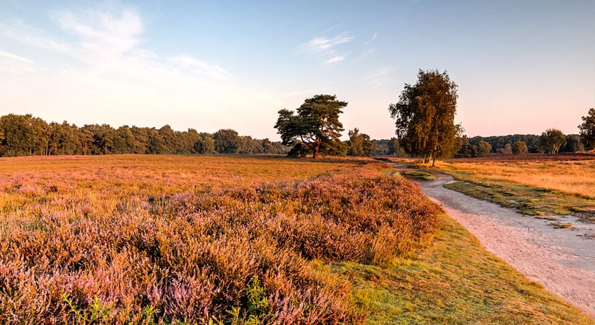 Grosser Rundweg and Seerundweg Loop