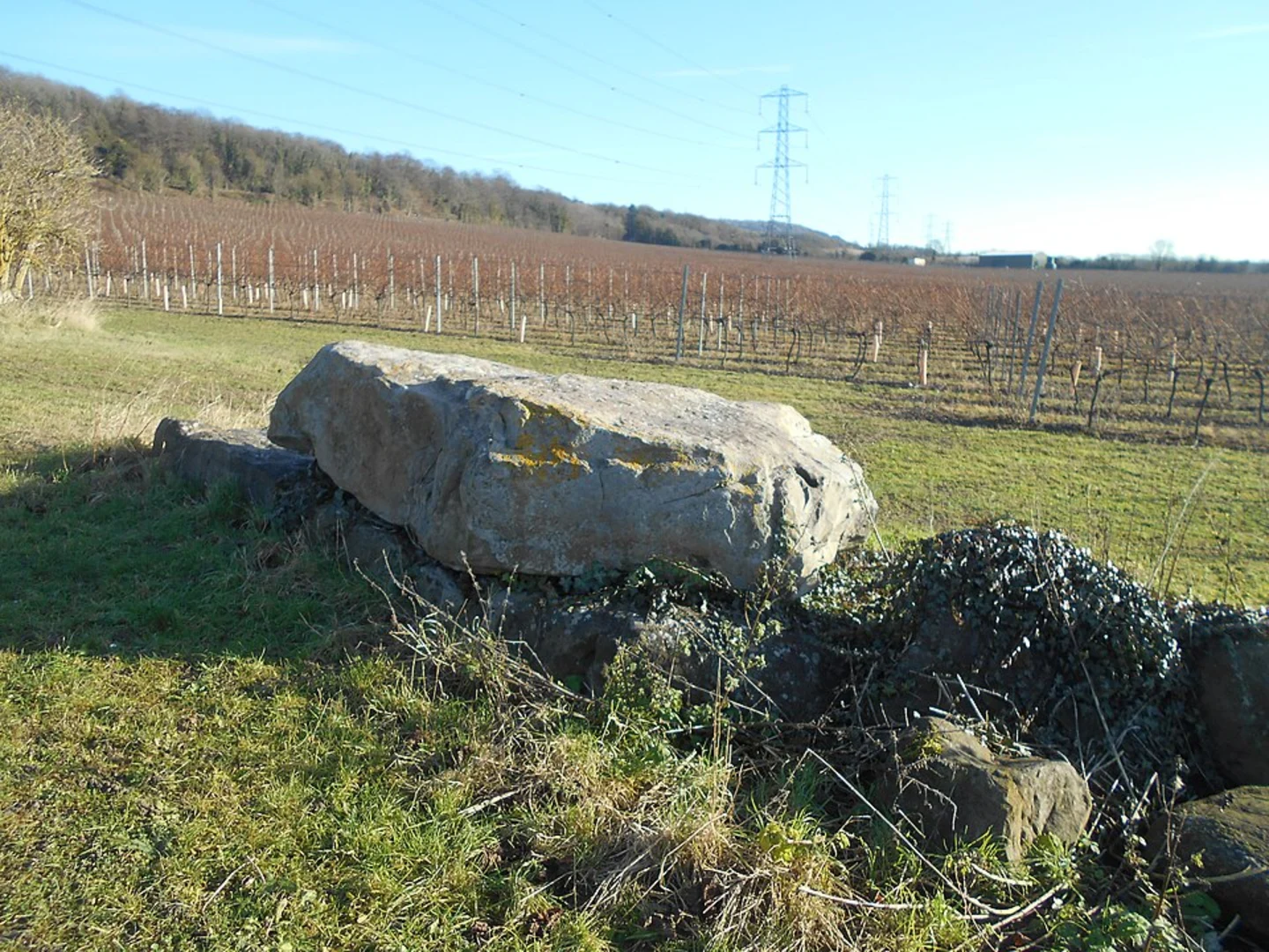 An image depicting the trail Bluebell Hill and Cobtree Manor Park Loop and its surrounding area.