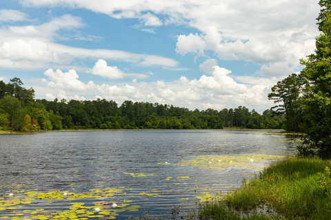 Magnolia Springs State Park Lake - Beaver Loop Trail
