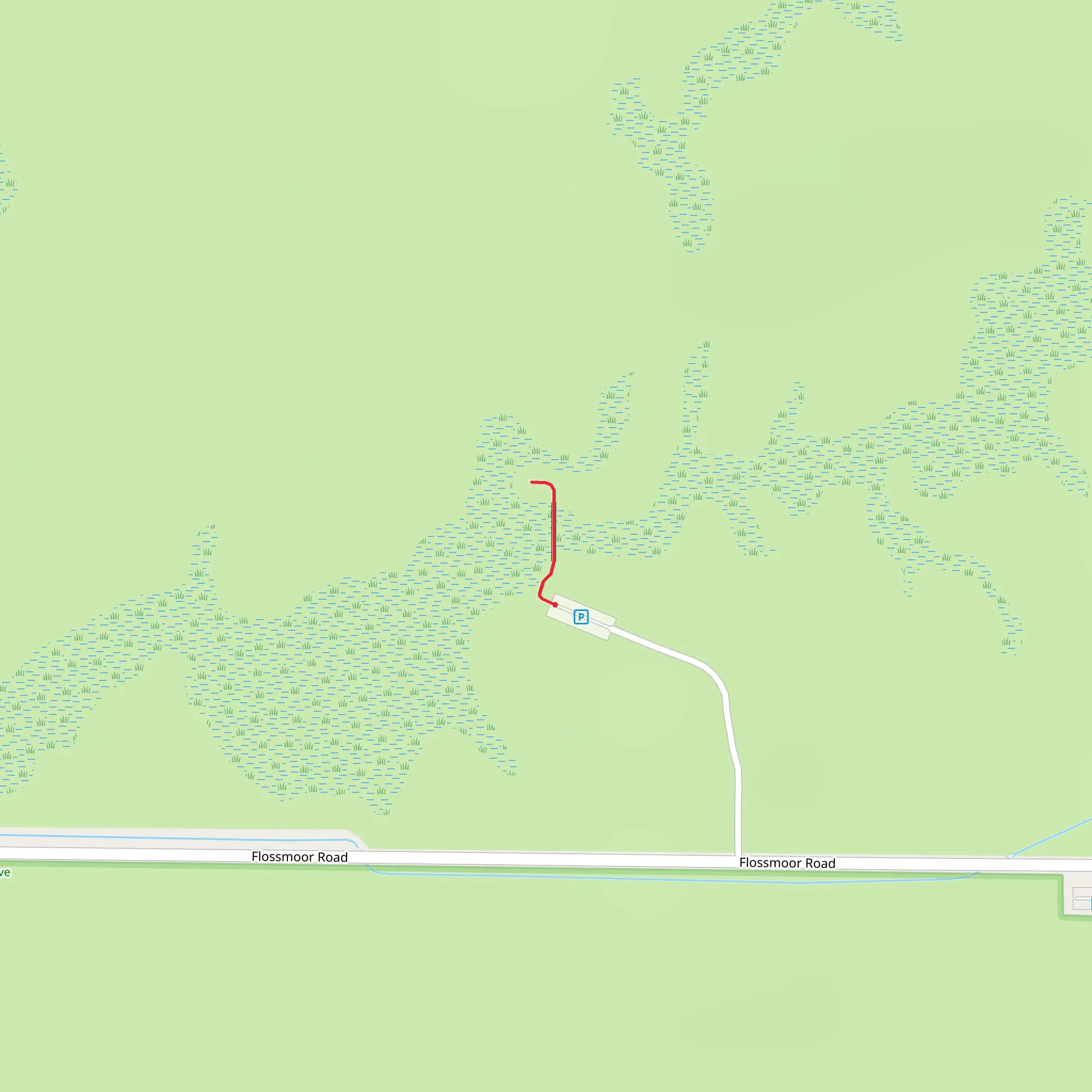 Flossmoor Road Walk mobile static map