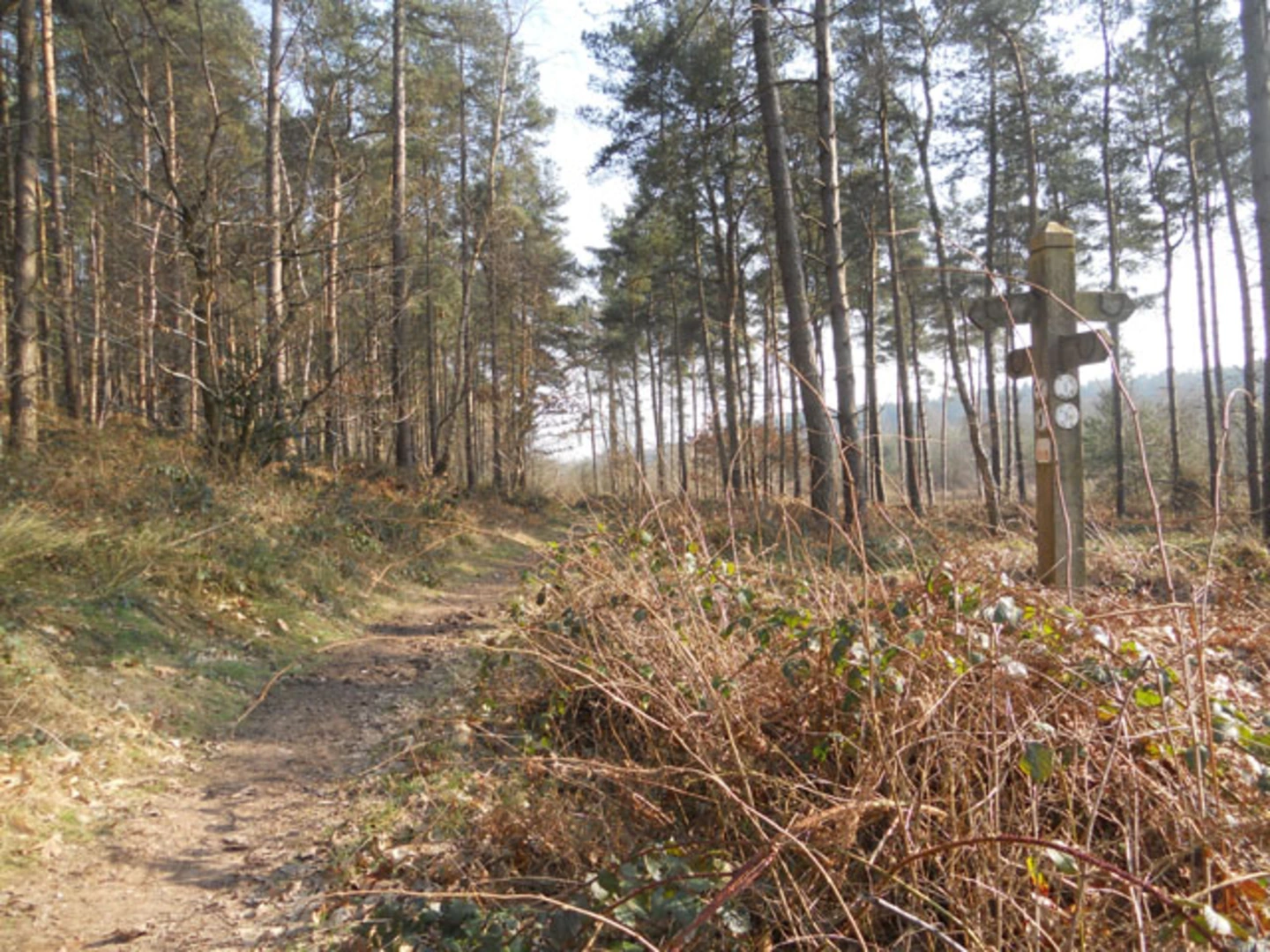 An image depicting the trail Fairoak and Broughton Loop via The Coombes and its surrounding area.