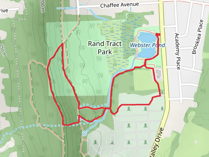 Rand Tract Park Loop via Webster Pond