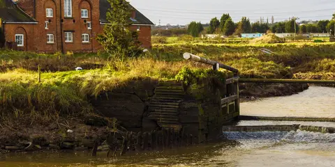 An image depicting the trail Chelmsford Ring Trail and its surrounding area.