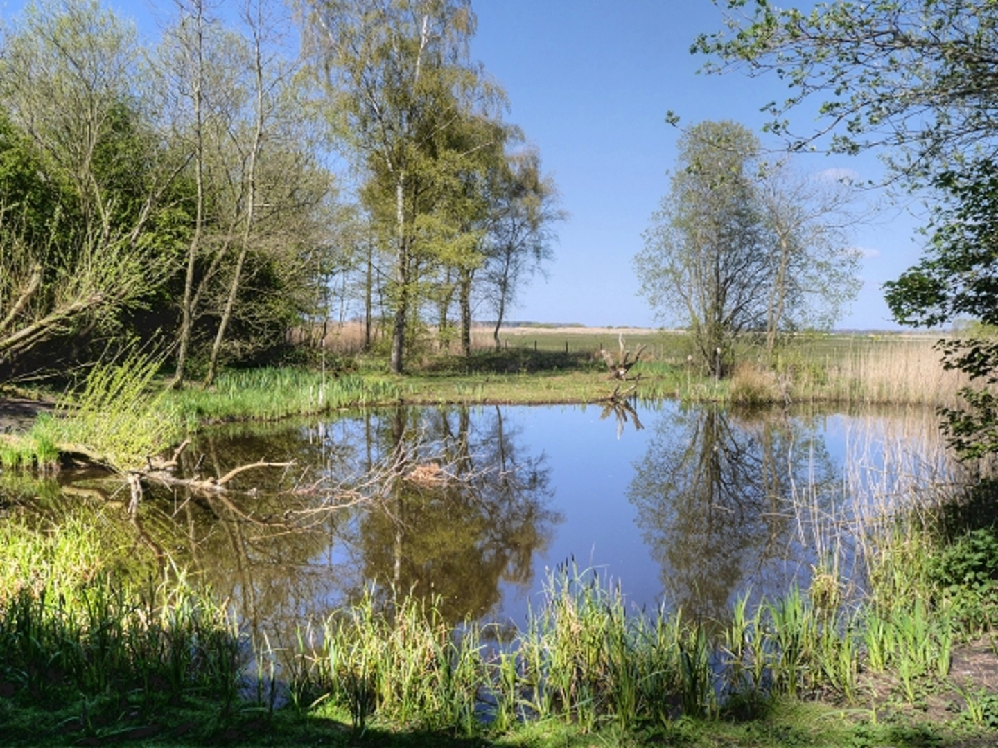 An image depicting the trail Burscough Bridge, Tarlscough and Rufford Loop via Mere Sands Nature Reserve and its surrounding area.