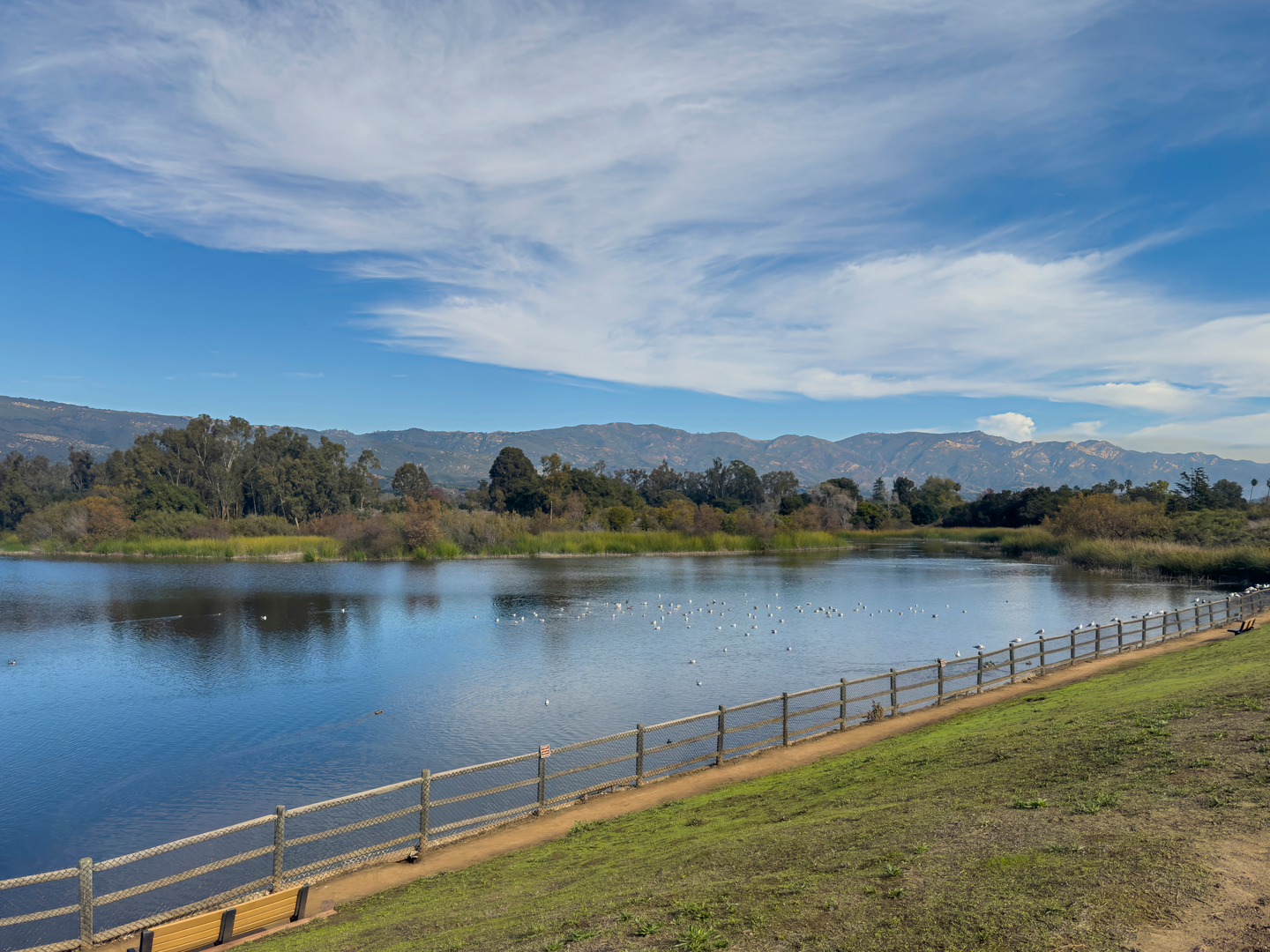 An image depicting the trail Lake Los Carneros Loop and its surrounding area.