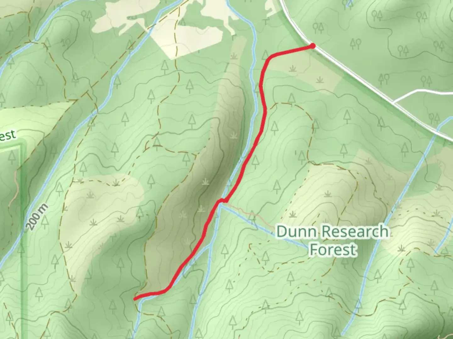 An image depicting the trail Scout Trail and its surrounding area.
