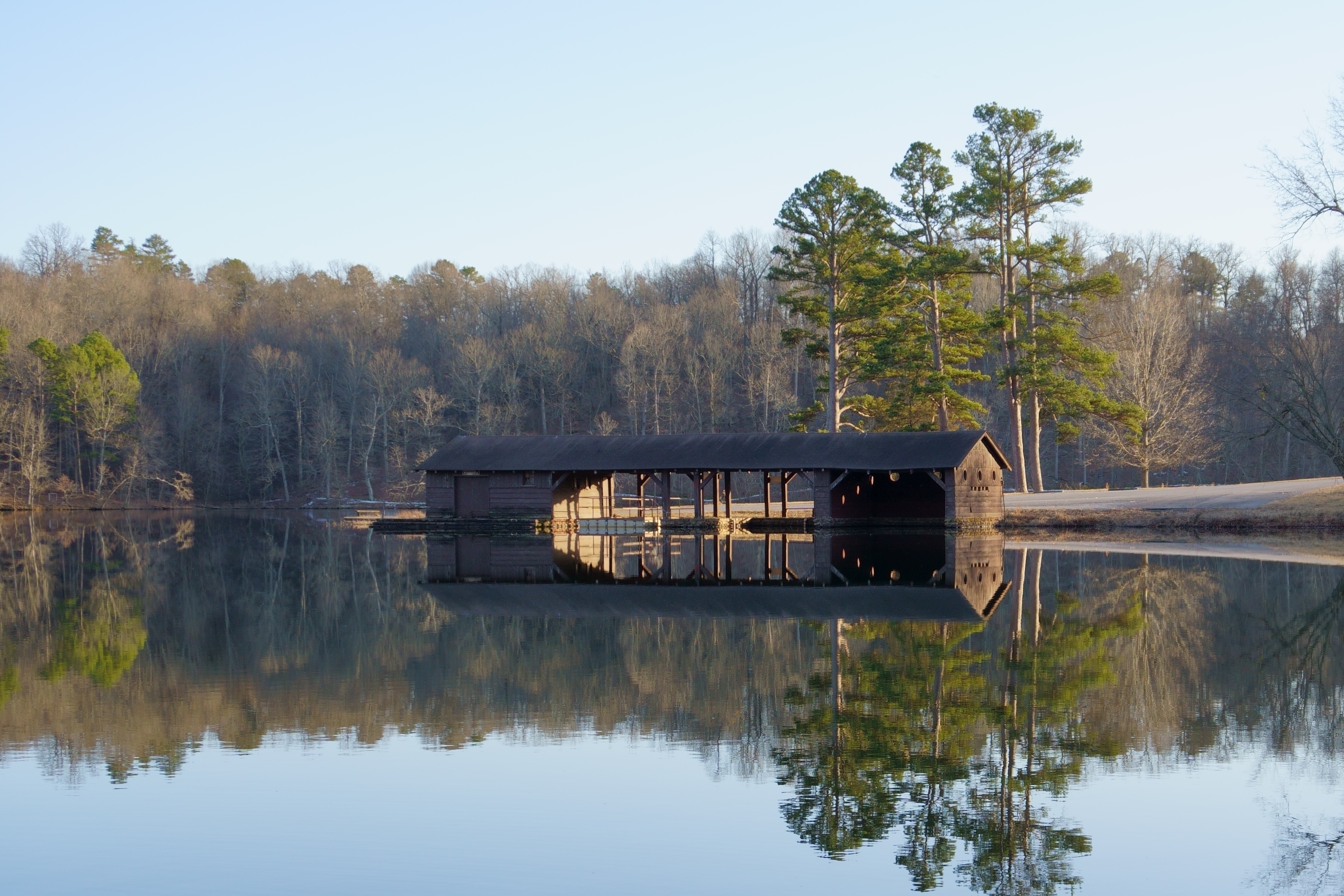 An image depicting the trail Ozark-St. Francis National Forest and its surrounding area.