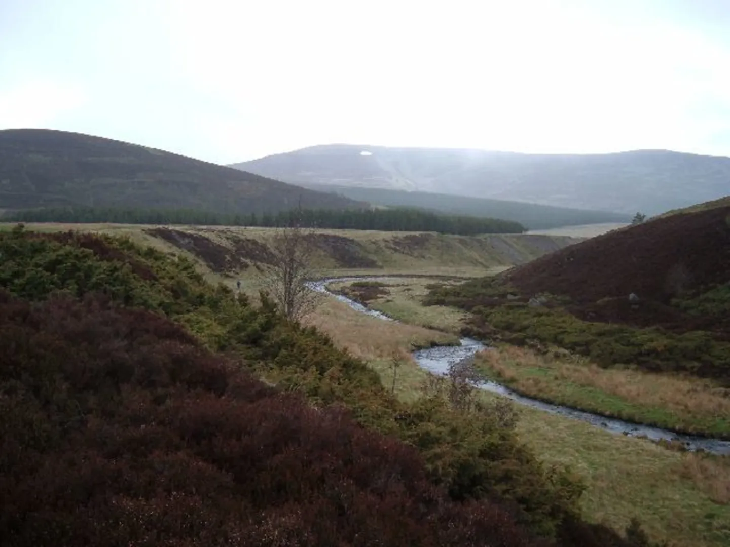 An image depicting the trail Craig Ealasaid and Craig Veann Loop and its surrounding area.