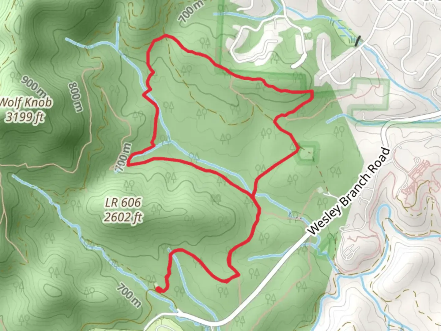 An image depicting the trail Deer Lake Lodge Trail, Wolf Branch Trail and Corvair Trail Loop and its surrounding area.