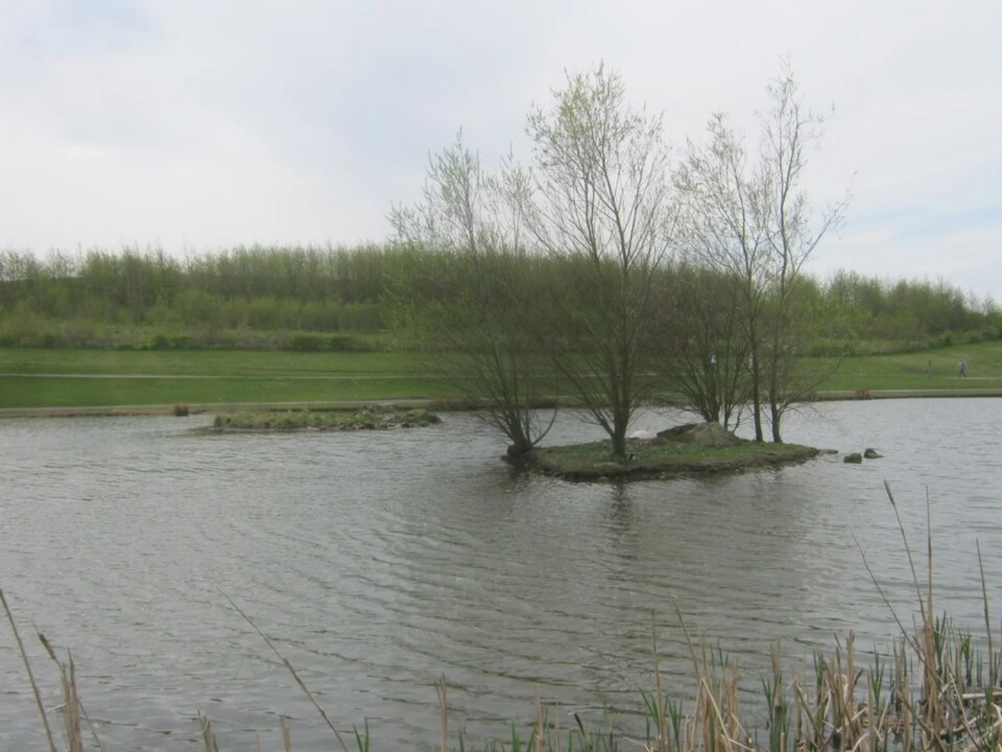 An image depicting the trail Herrington Country Park Loop and its surrounding area.